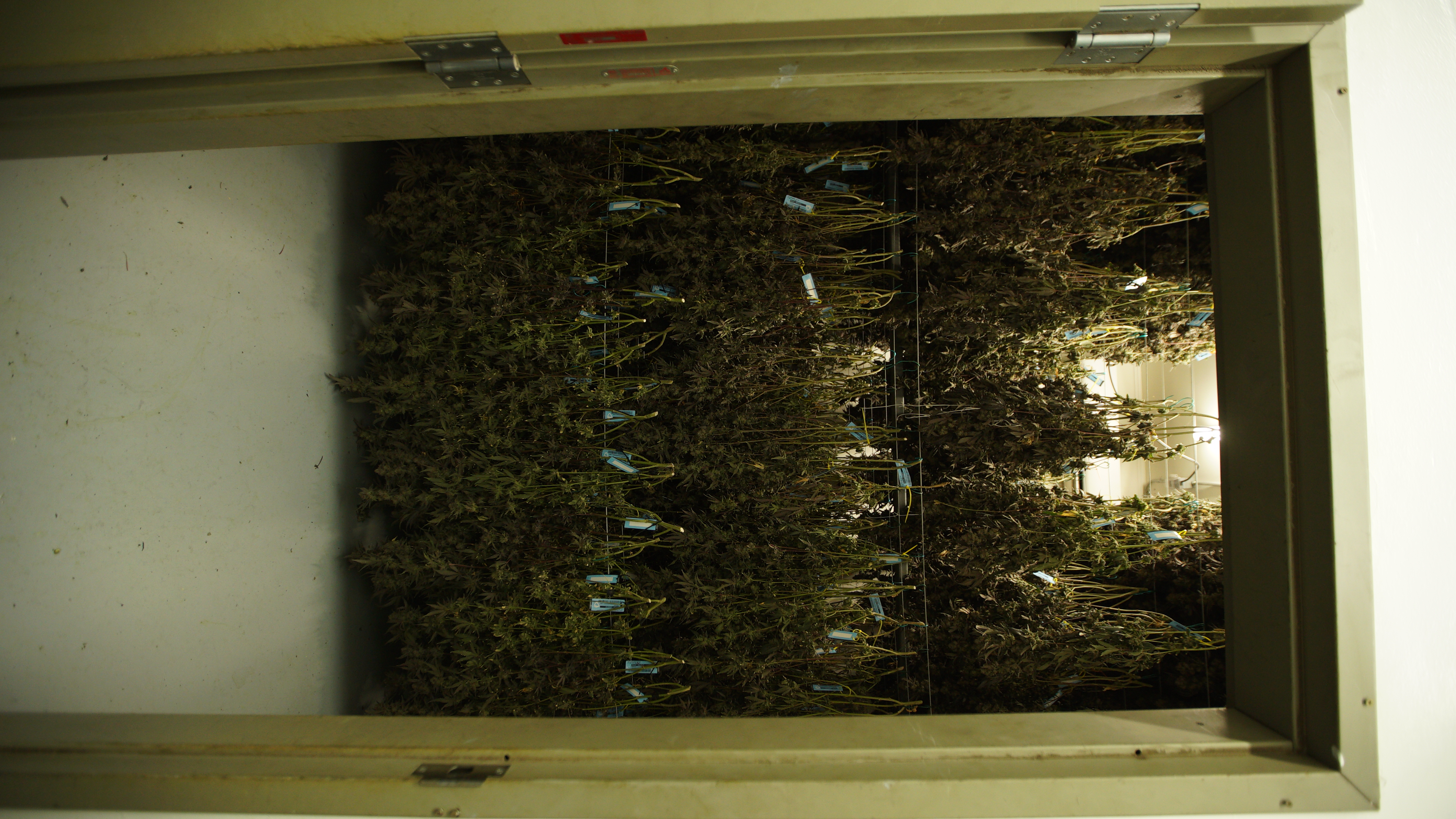 LIBCO indoor facility 4