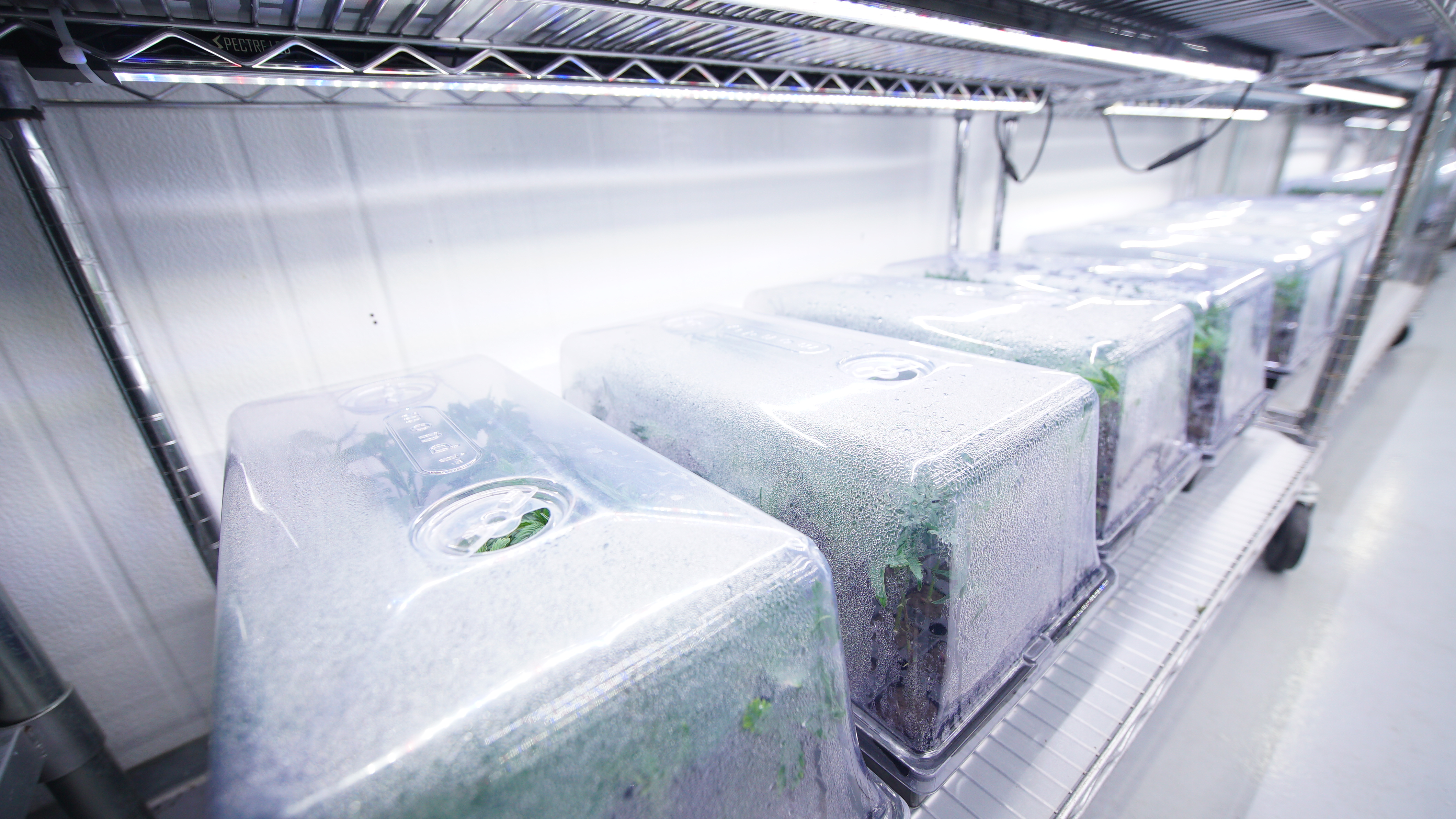 LIBCO indoor facility 14