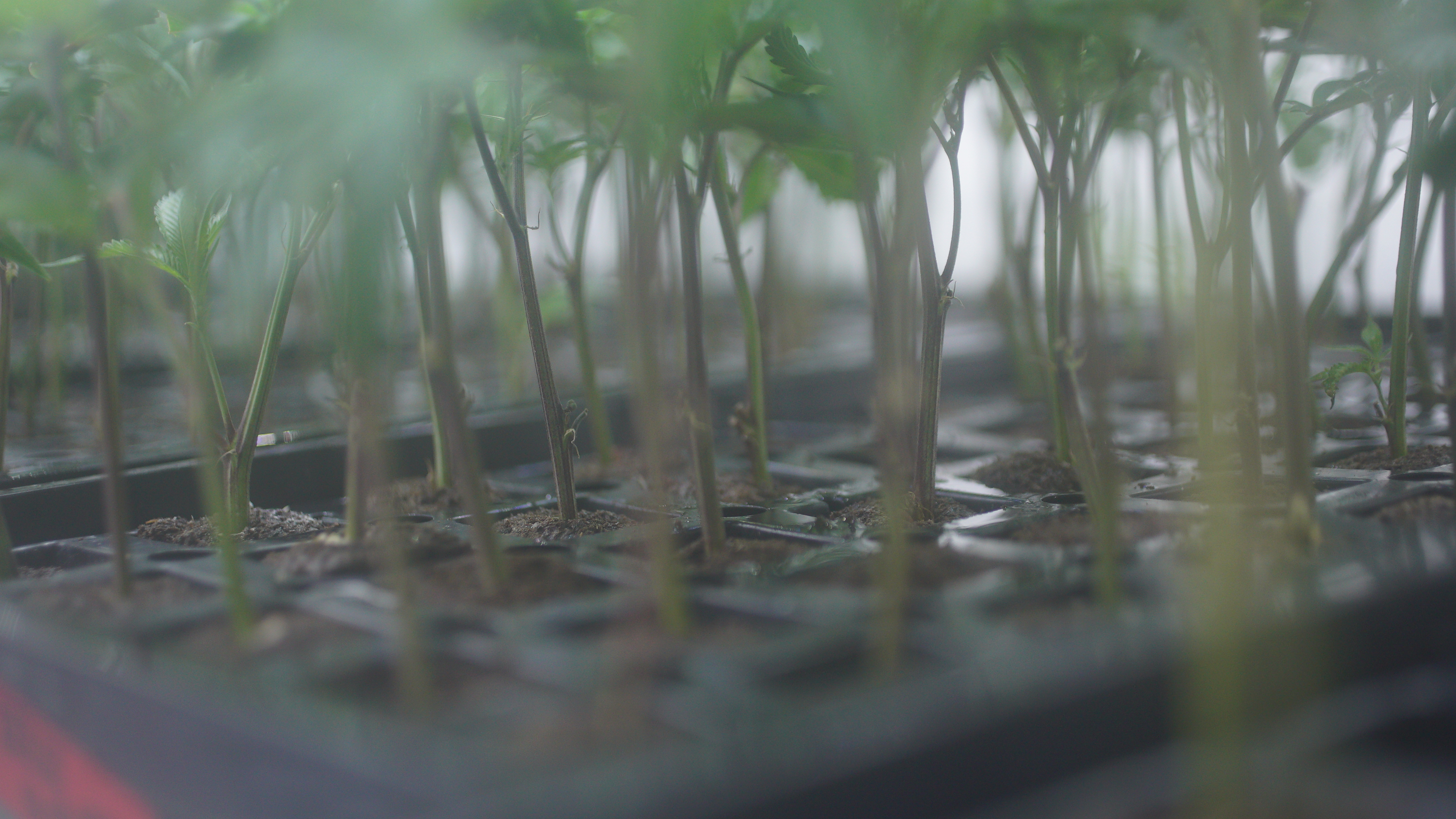 LIBCO indoor facility 16