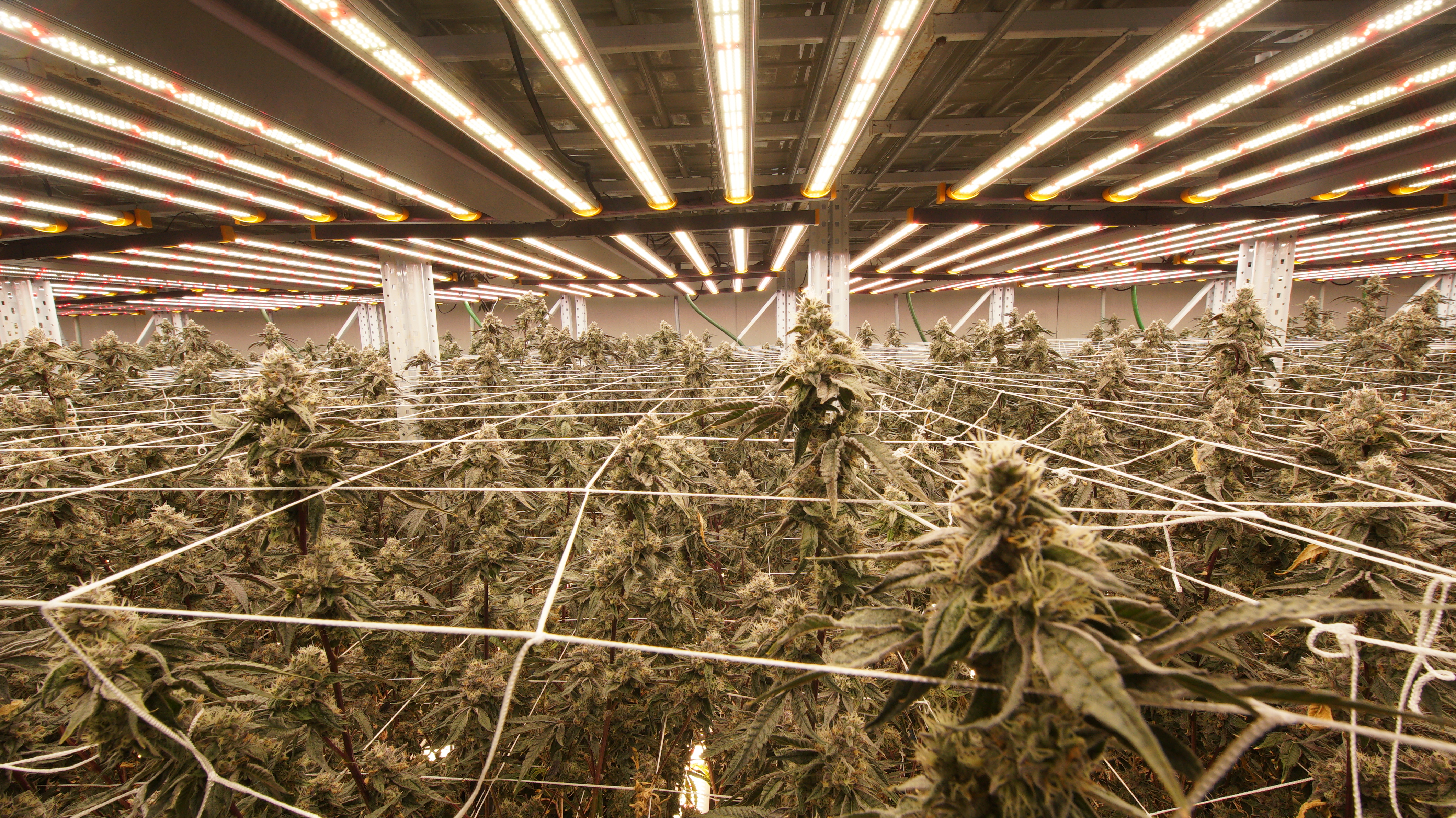 LIBCO indoor facility 34