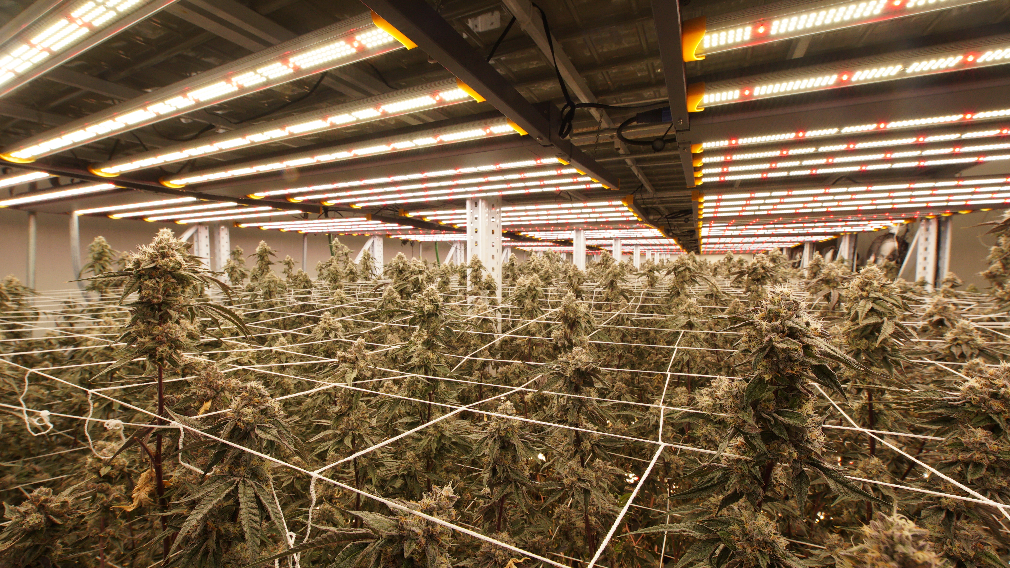 LIBCO indoor facility 39