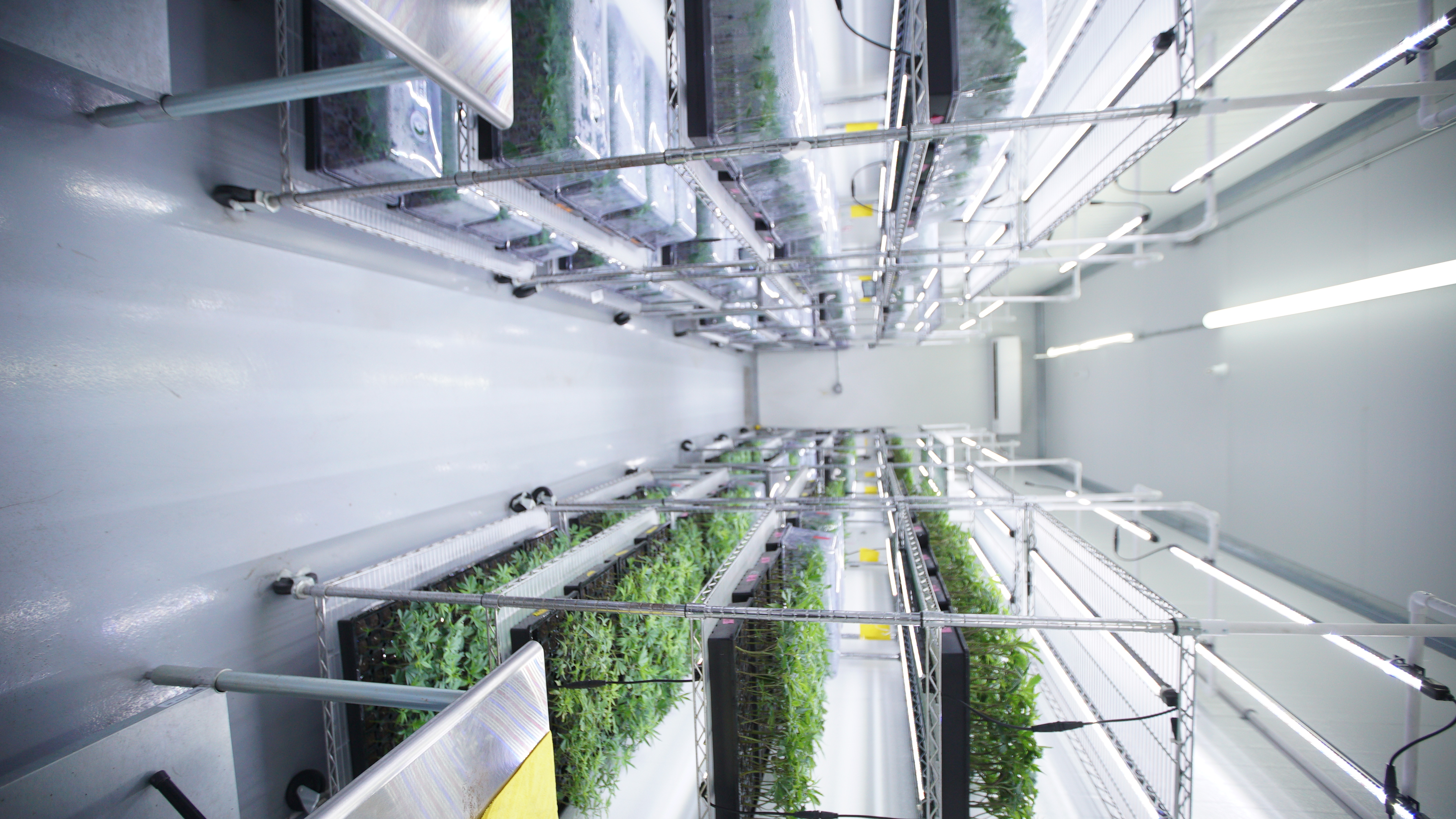 LIBCO indoor facility 51