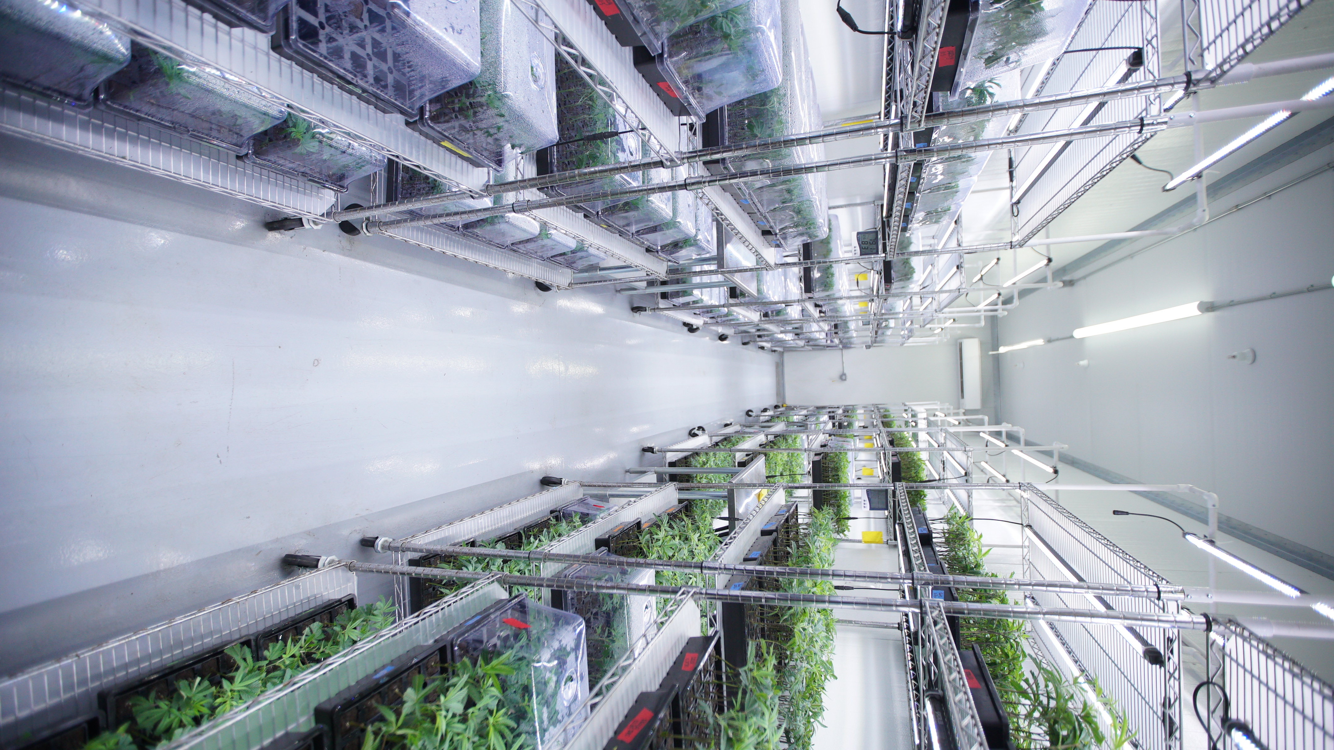 LIBCO indoor facility 54