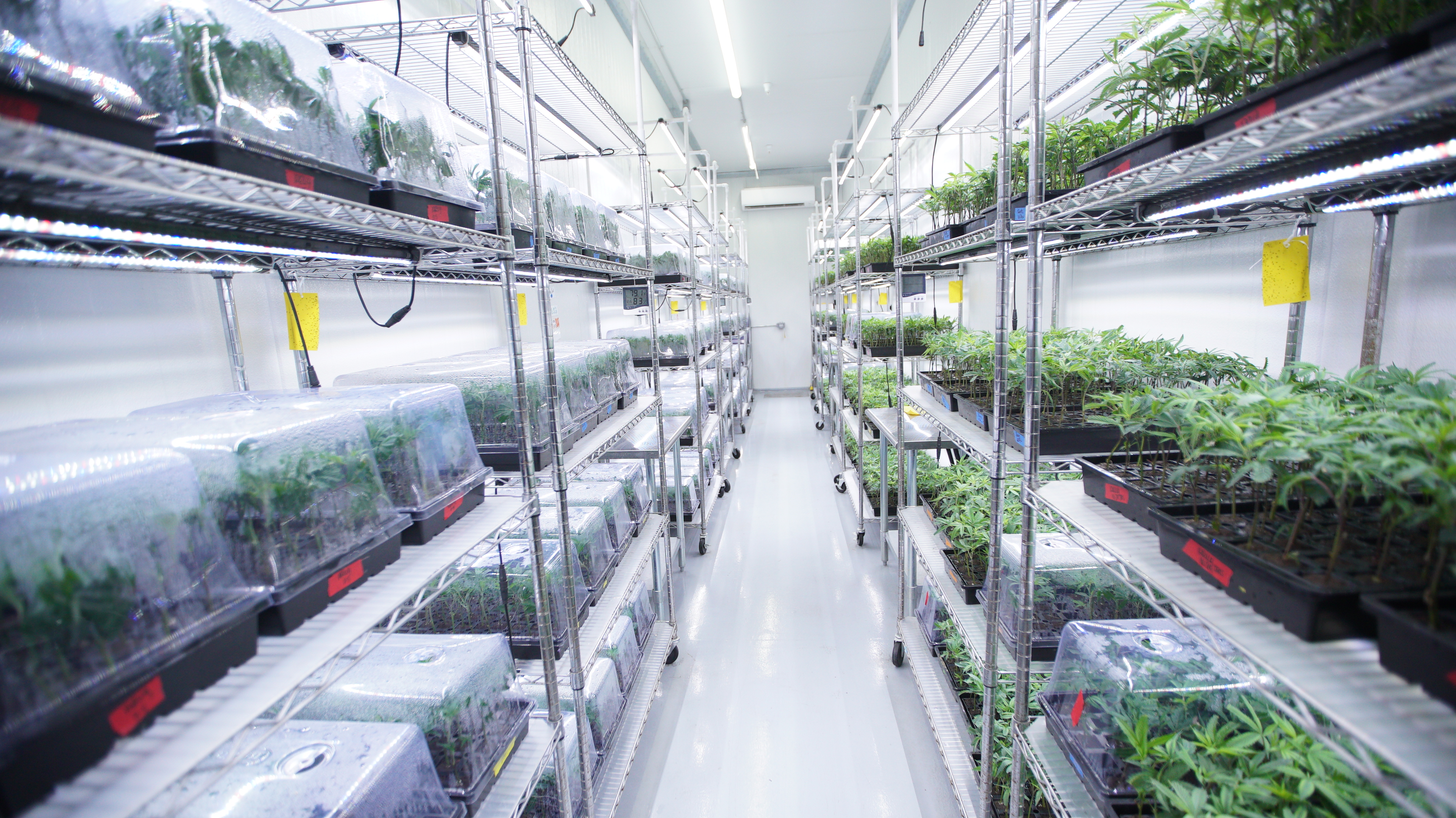 LIBCO indoor facility 55