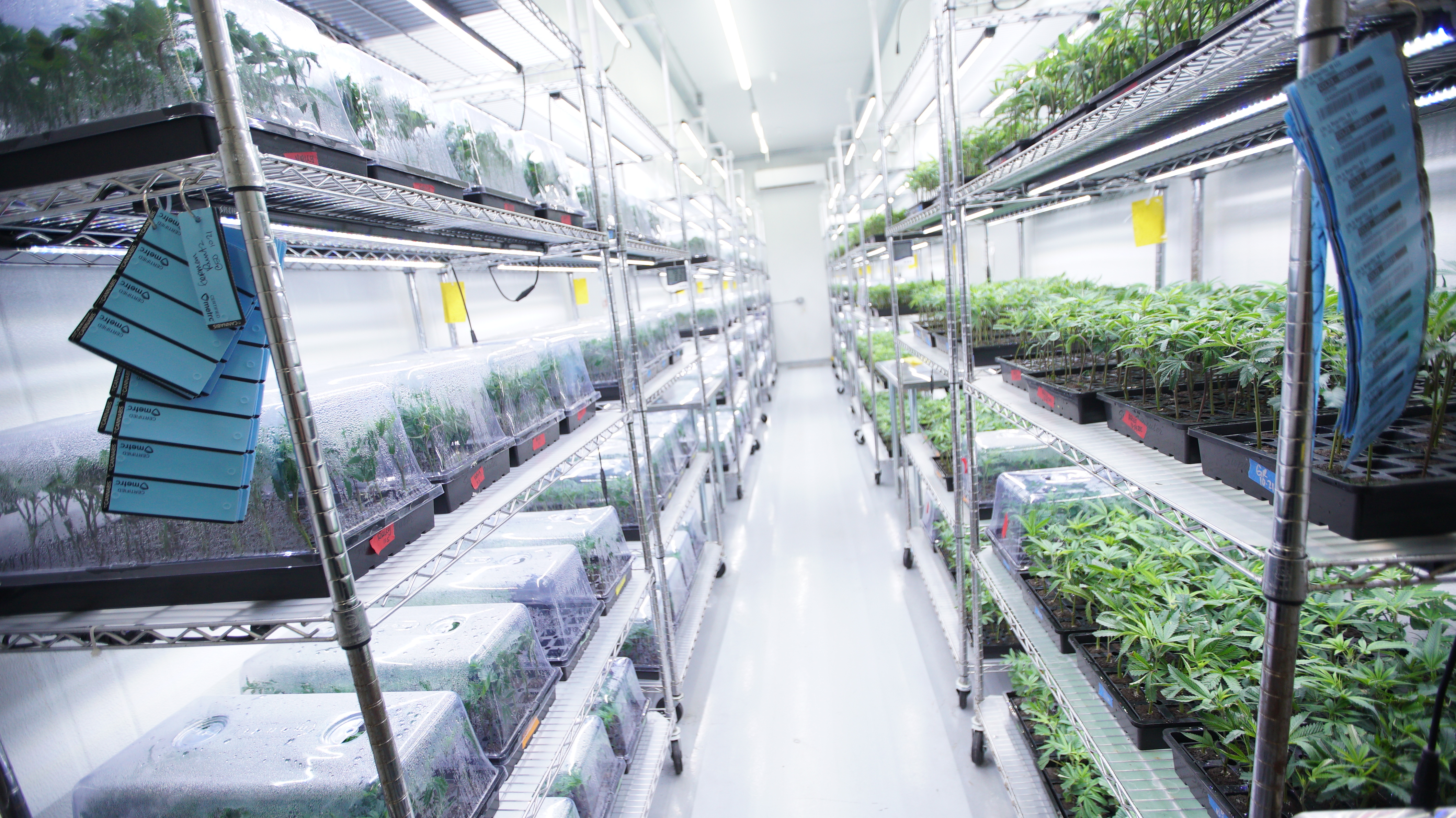 LIBCO indoor facility 56