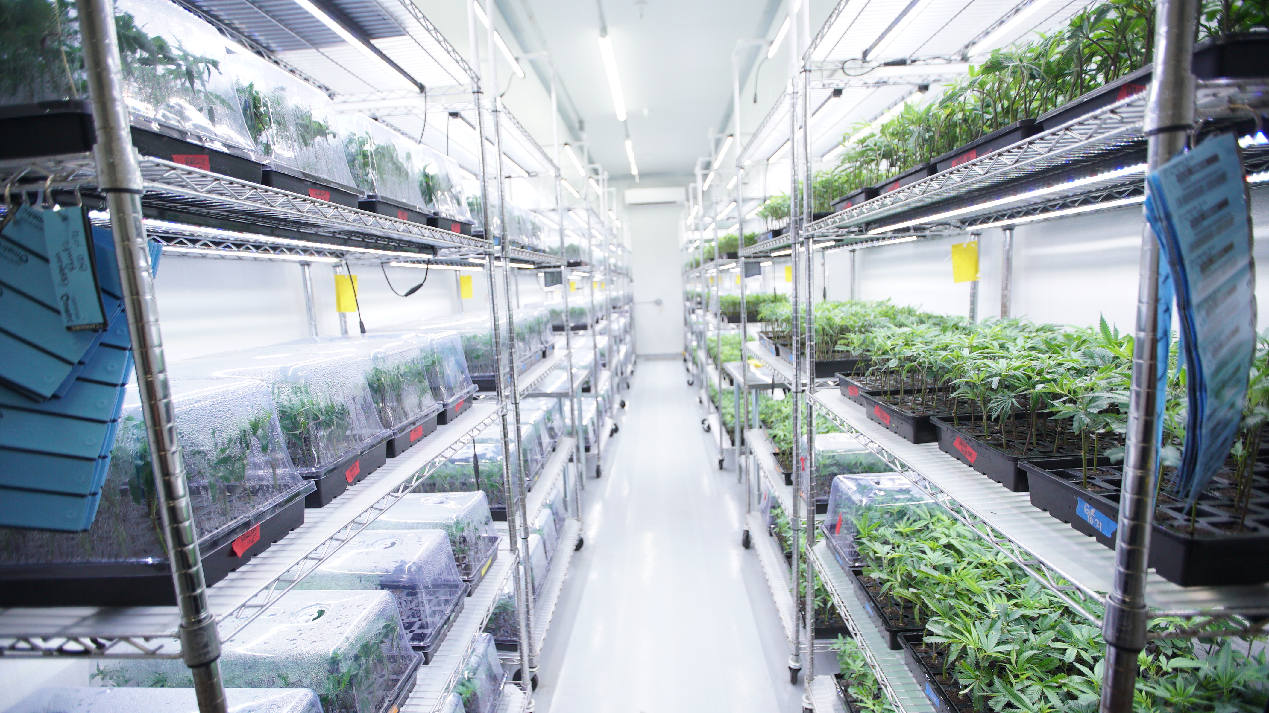 LIBCO indoor facility 57