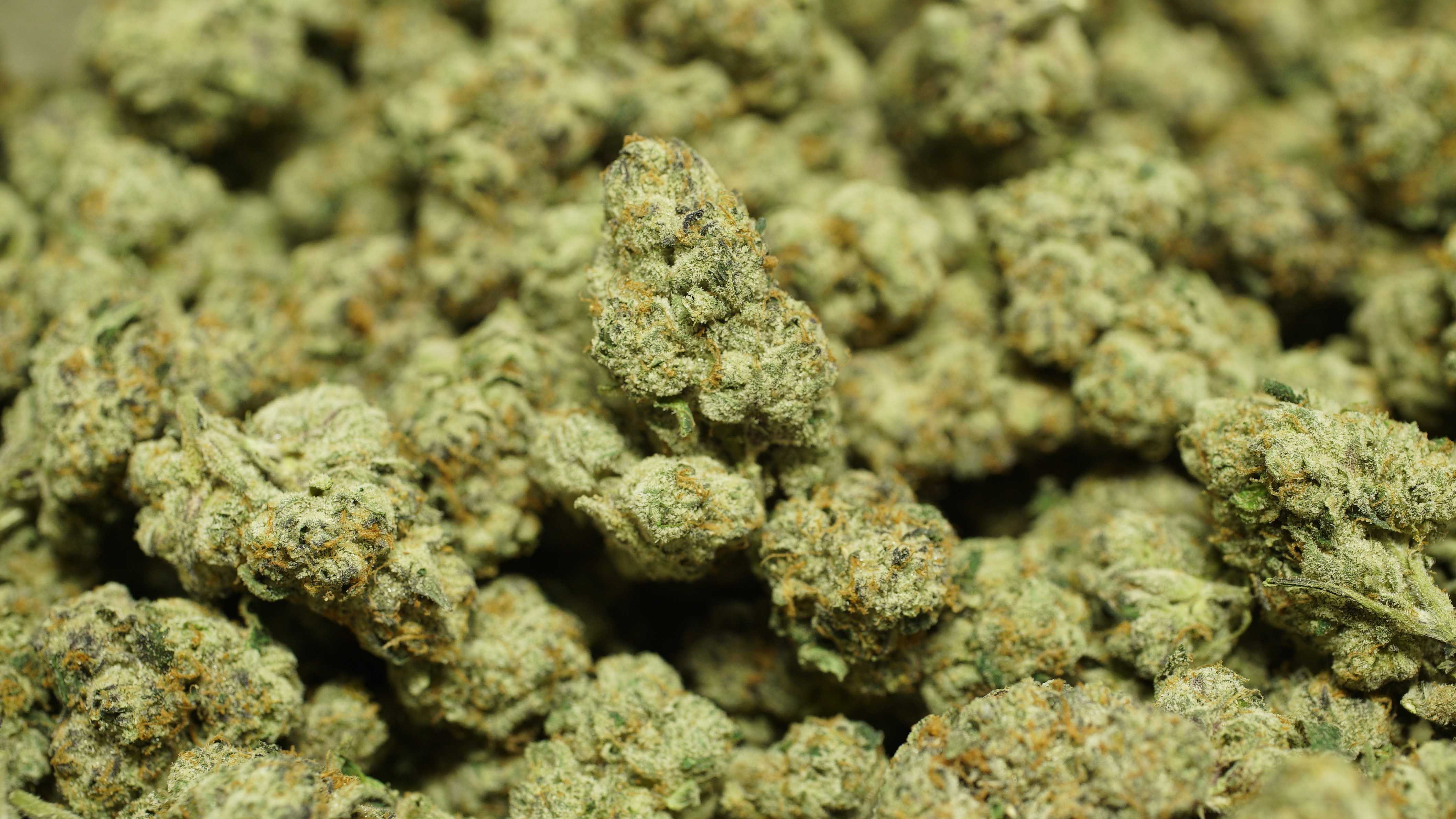 Russian Runtz x LCG 10