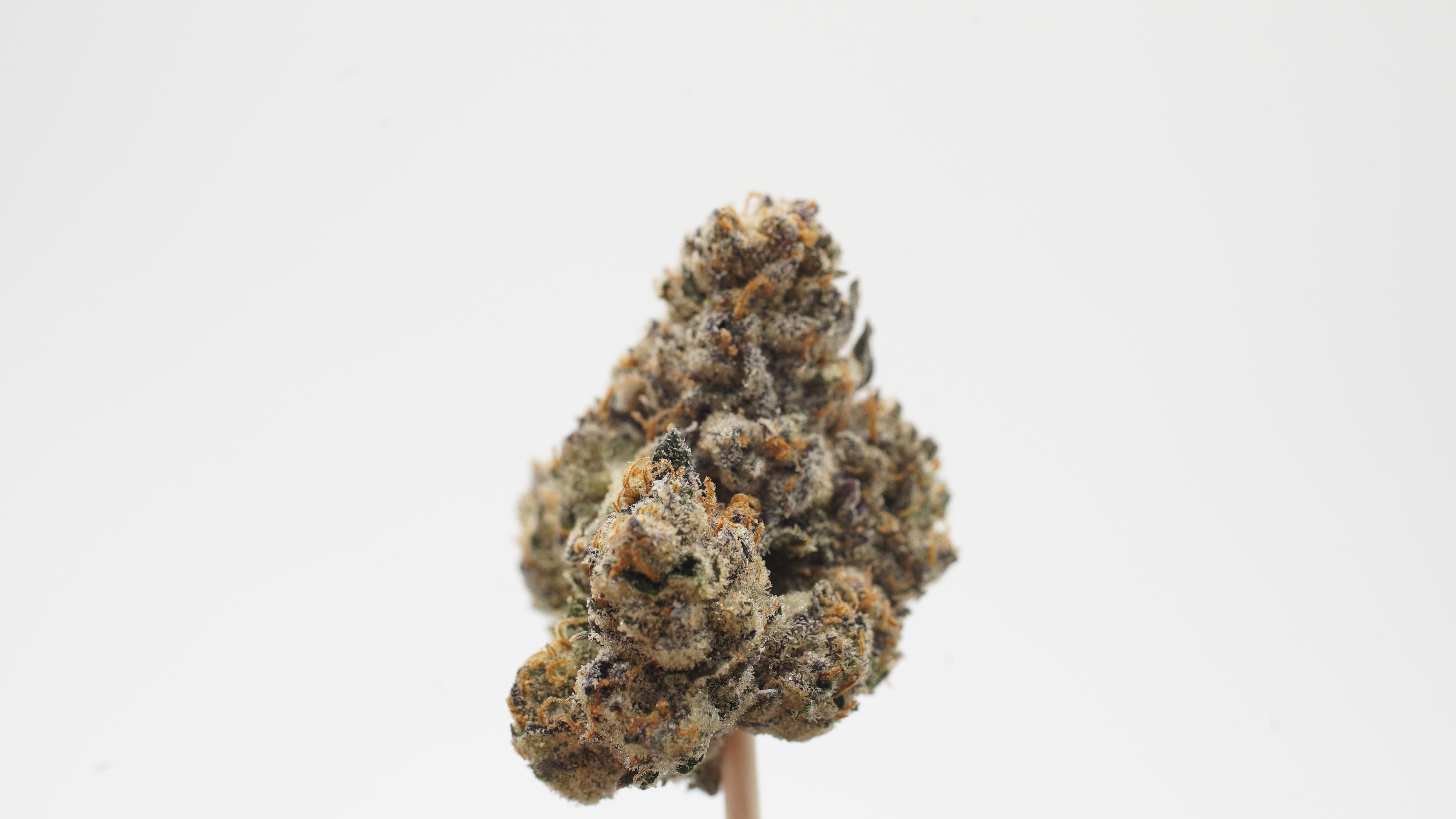 BlackBerry Caviar 04